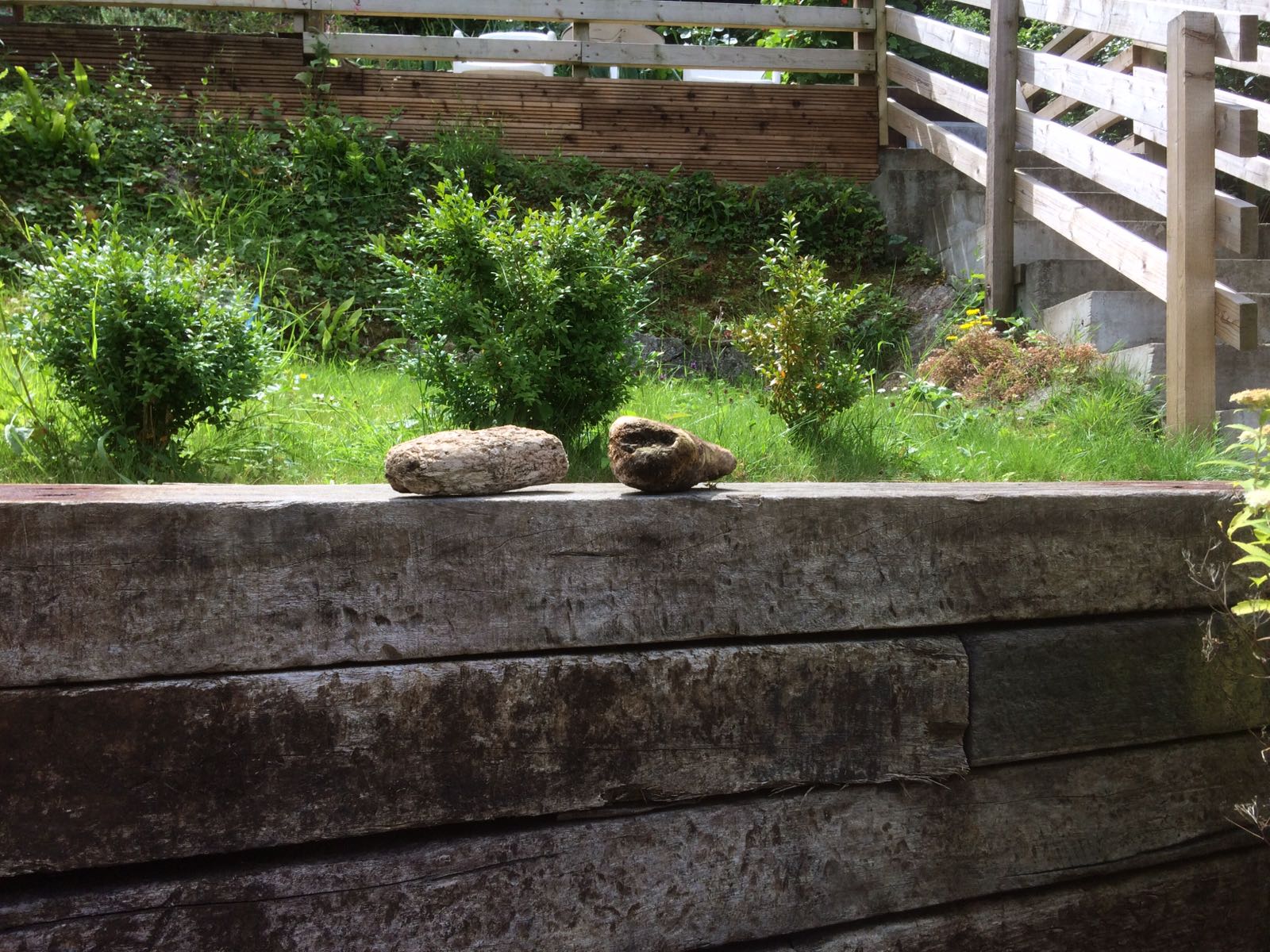 Gower Coast Ltd Self Catering Caswell Bay